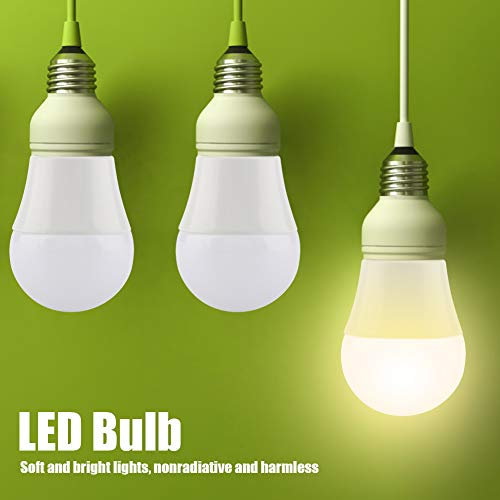 Saluaqui Efficienza Energetica 6 Pezzi 5W Mini Lampadine a LED con Base E26 - Lampade a Bulbo G45 Bianche Calde per Illuminazione Versatile in Vari Spazi Interni