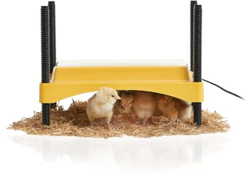 Brinsea Ecoglow Safety 600 Brutautomat