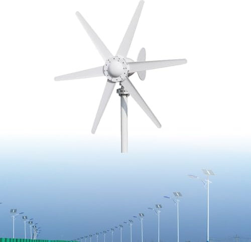 LADECNERHT Aerogenerador De Turbinas Eólicas De 800 W, Ventilador, Kit De Generador De Turbinas Eólicas Profesional. Velocidad De Viento Inicial De 1 M/S para Uso Doméstico, Autocaravana.,12V
