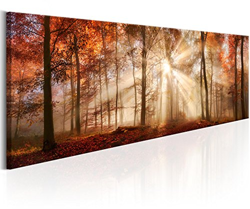 B&D XXL Acrylglasbild Wald 135x45 cm 1 Teilig Wandbild auf Acryl Glasbilder Kunstdruck Moderne Acrylglas Platte Wanddekoration Geschenke Heimdekoration Glasbild Landschaft Natur Panorama Baum