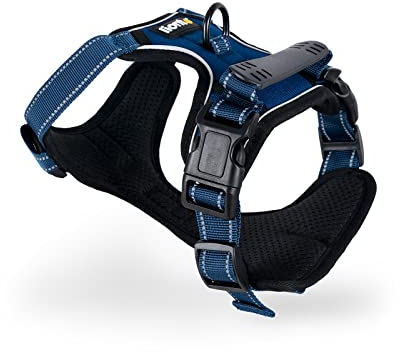 lionto Hundegeschirr gepolstert aus weichem Nylon, Größe S, reflektierendes Anti Zug Geschirr für Hunde mit 2 Ringen & 4 Einstellgurten, Zwei Klickverschlüsse & gummierter Griff am Rücken, blau