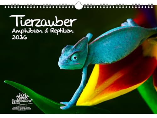 Animales Anfibios y Reptiles DIN A3 Calendario 2026 - Seelenzauber