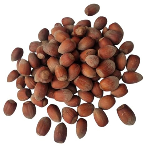 IGART FOOD & WOOD Hasselnötter Med Skal Cosford Råa Färsk Skörd Från Polen Naturliga Orostade För Bakning Snacks Müsli Glutenfria (3kg)