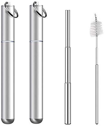 Pajita plegable reutilizable de acero inoxidable, pajita telescópica con cepillos de limpieza de funda, 2 paquetes (plata)