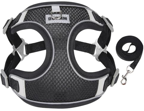 SSDH Hundegeschirr Atmungsaktives Air-Mesh-Geschirr Geeignet für Kleine und Große Hunde Katzengeschirr Hundeleine(inklusive Zugseil) (M,Schwarz)