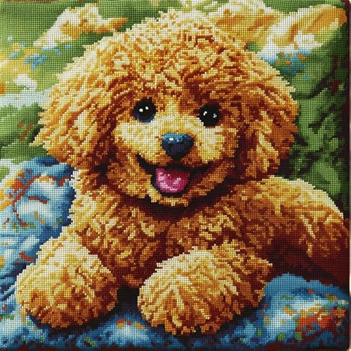 XDEGHUANGSS création de tapis et canvas Taie d'oreiller Kits de Crochet kit Point noué Coussin Kit de Verrouillage Kit Tapis Point Noué à Faire pour Débutants,Adultes 43x43cm,Caniche