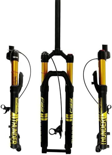 QIANMEI bike forks 27.5 29 Inch Air Shock Absorber DH Bicycle Front Fork MTB 1-1/8 Straight Steerer 100mm Travel Thru Axle Remote Lockout (Color : Gold, Size : 29in)
