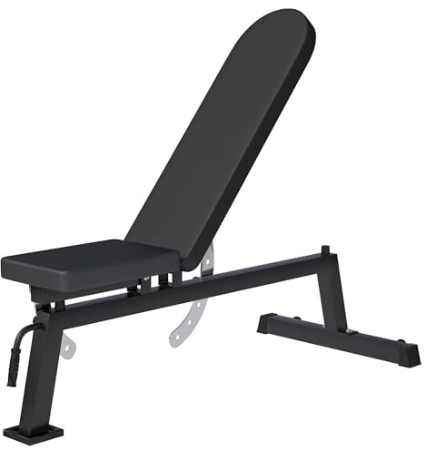 GORILLA SPORTS® Hantelbank - 7-Fach Rückenlehne und 3-Fach Sitz Verstellbar, 148 x 56 x 44,5-123 cm, Multifunktion, aus Stahl, Schwarz - Trainingsbank, Schrägbank, Negativbank, Flachbank, Fitnessbank