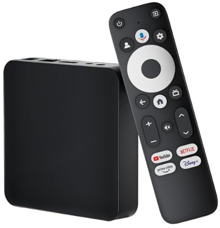 LEOTEC TVBOX GC232 Google Y Netflix Certified