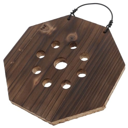 TOBBOMEY Hanging Planter Carbonisé pour Fougères Staghorn Support Vertical pour Plantes Intérieures pour Orchidees Platycerium Et Facile à Installer Et