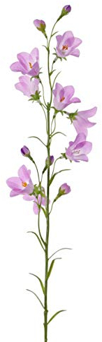 artplants.de Künstliche Blume Glockenblume Gisela, violett, 65cm, Ø 5cm
