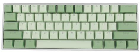 Vikye Mekaniskt Tangentbord, 61 Tangenter RGB -bakgrundsbelysta, USB - C WIRED HOT SWAPPABLE Ergonomiskt Tangentbord för Bärbar Dator med Röd Switch (grön)