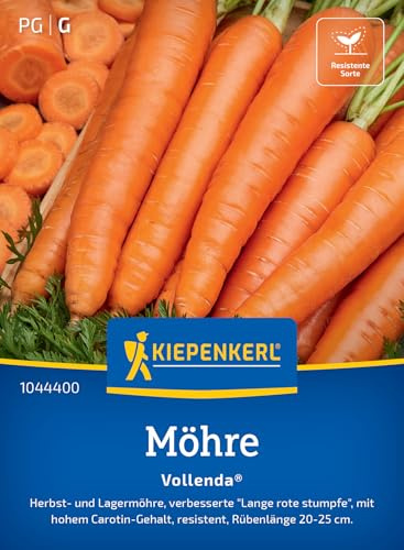 Kiepenkerl Möhrensamen Vollenda Vollenda® 1044400, Gemüsesaat | Rübenlänge 20-25 cm