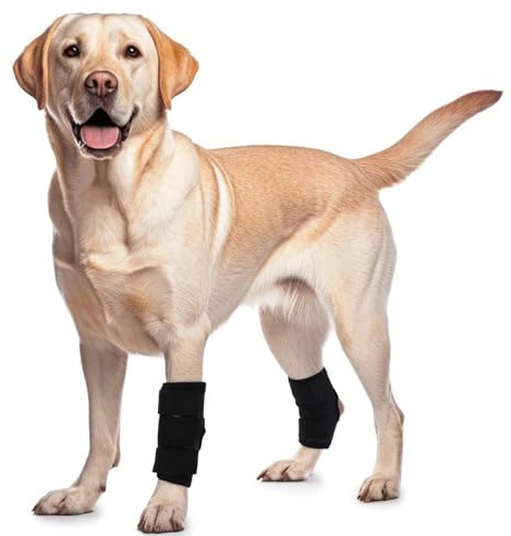2 Stück Gelenkbandage für Hunde, Kniebandage Gelenkbandage Stützbandage Hunde Bein Sprunggelenk Wrap Handgelenk Bandage für Schützt Wunden und Hilft Bei Gelenkentzündung und Arthritis(Schwarz, M)