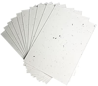 A5 Seeded Craft Paper 10 Sheets Mixed Wildflower Seeds 200GSM Plantable NATURAL NATION