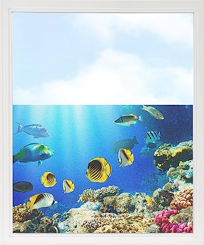 GRAZDesign Fensterfolie Blickdicht Sichtschutz, Sichtschutzfolie Fenster, Glastüren, Duschkabine, Milchglasfolie Bedruckt mit Motiv Unterwasser mit Fische und K 80x57cm