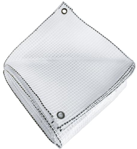 TECPLAST Bâche Jardin 2x3 m TR170JD - Bâche Armée Transparente - Haute Qualité - Imperméable - Résistance Anti-UV