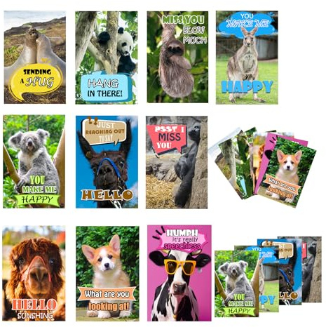 SMARSTICKER Funny Animal Postcards 40 Pack Animal Greeting cards 4x6 inch Thinking of You Missing You Postcard for for Students, Friends, Teacher Adorable