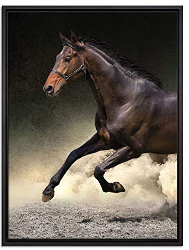 Pixxprint Dark Schwarzer Hengst Leinwandbild 80x60 cm im Bilderahmen, Wandbild, Schattenfugenrahmen, Kein Poster