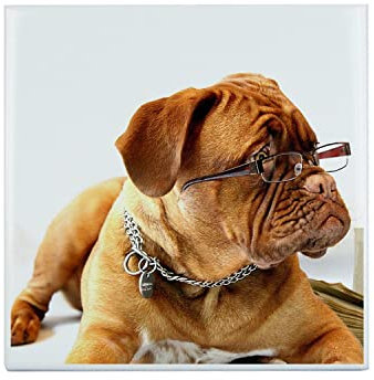 Fabulous Carreau Céramique Décoratif 15,2 x 15,2 cm - Bulldog Francais Lunette Intellectuel Petit Chien Marron