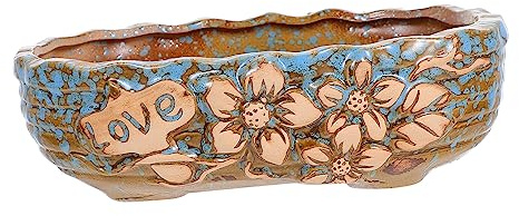 BESPORTBLE Maceta Cerámica Grande para Suculentas Decorativo Interior y Exterior Resistente y Elegante para Plantas y