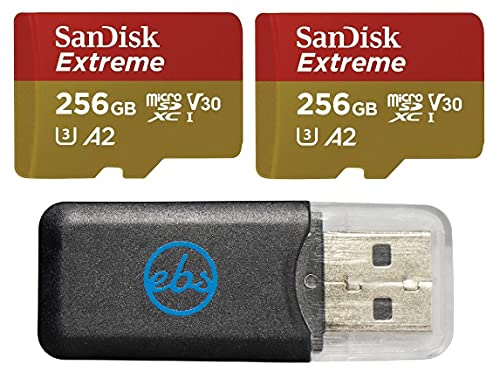SanDisk Extreme MicroSDXC U3 V30 A2 Tarjeta de memoria de 256 GB (2) Funciona con GoPro Action Camera Hero 12 Black (SDSQXAV-256G-GN6MN) Bundle con (1) Everything But Stromboli Micro Card Reader