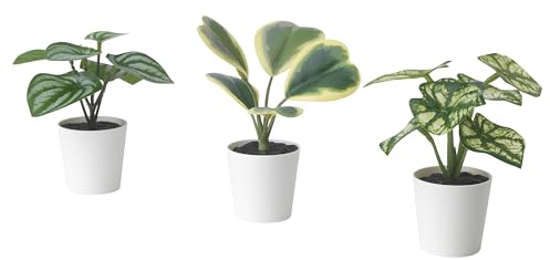 ProTuning FEJKA artifi potted plant w pot, set of 3, 6 cm, in/outdoor begonia
