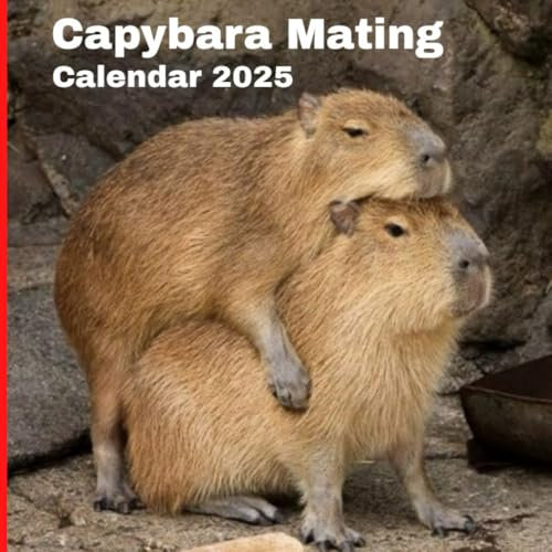 Capybara mating calendar 2025