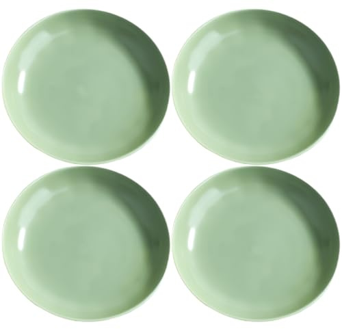 Sage Green Ceramic Dinner Plates Set of 4