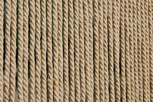 La Tenda CASA Türvorhang Seil Toulon 1 Fliegenvorhang Insektenvorhang Balkonvorhang Seilvorhang Natur beige, Maße:100 x 230 cm