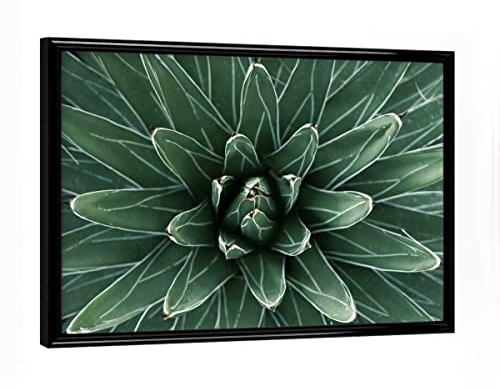 artboxONE Poster mit schwarzem Rahmen 18x13 cm Natur Grüne Agave mit weißen Streifen - Bild Agave Agave Blatt