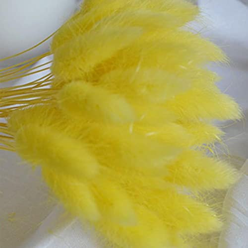 ESCATIC Material Shooting Requisiten Pflanzenstiele Pastoral Style Trockenblumensträuße Hasenschwänze Hasenschwanzgras Lagurus Ovatus-gelb