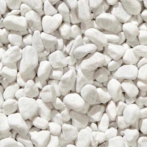 EffeDecor - Ciottoli Bianchi da Giardino 20 Kg Sassi Sassolini Decorativi per Vasi,Acquario,Vialetti,Aiuole e Interni (Bianco, Granulometria 15/25 mm)
