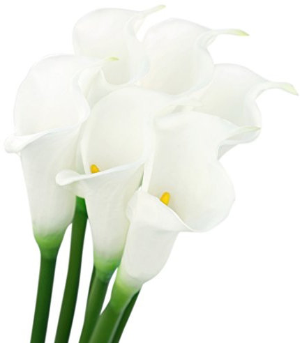 FiveSeasonStuff 6 Real Touch Long Stems Artificial White Calla Lily Flowers & Bouquet, for Home Shop Office Restaurant Wedding Party Décor/DIY Flower Arrangement Decoration, 64cm (25.2 inches)