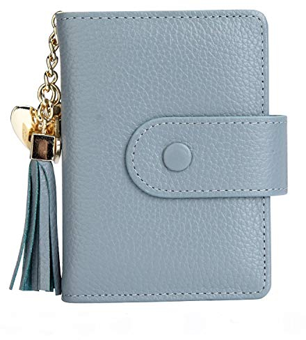 Echt Leder Kredit- und Visitenkartenetui mit 21 Fächer, Kartenetui Scheckkartenetui Kartenmäppchen Kreditkartenmäppchen für Herren und Damen (Blau)