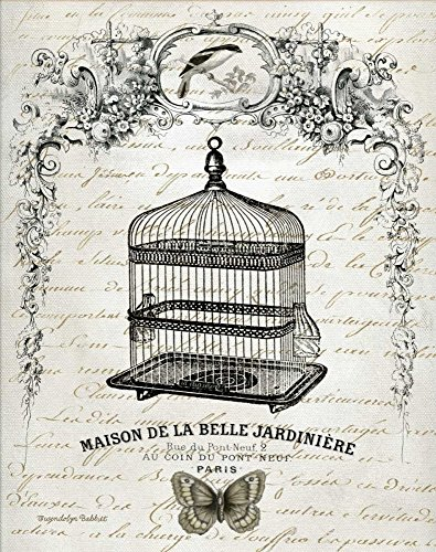 Bild auf gerollter Leinwand, französischer Vogelkäfig II Babbit Gwendolyn – Tiere vertikaler Kunstdruck Vögel Vogelkäfig Schwarz Weiß Vintage Antik Alt Dec Leinwand, Kunstdruck, 45,7 x 35,6 cm