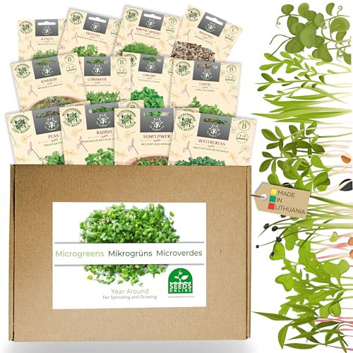 12 variedades de semillas de microvegetales: microvegetales frescos y ricos en nutrientes para su cocina - Homemade Sprouts