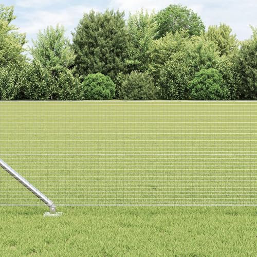 vidaXL Recinzione in Filo Saldato con 13 Pali a Punta 0.8x25 m Acciaio Zincato