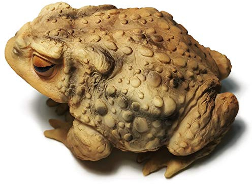 Sunthus Sculptures de Grenouille Crapaud - Statues de Jardin - Décoration en résine - Décoration extérieure de Jardin