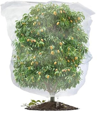 Fruit Tree Netting Bird Protection, Bird Netting for Garden, Insect Mesh Net with Drawstring, Plants Fine Mesh Cover Nets for Vegetables Fruit Strawberry Bush (100 * 150cm)