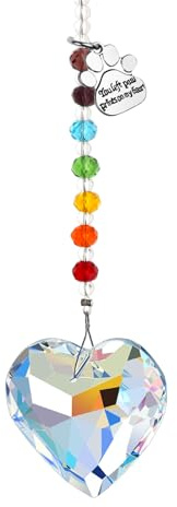 Personalized Rainbow Bridge Pendant Pets Crystal Light Catcher Cat/Dog Keepsake Pet Loss Sympathy Gift (you left pawprints on my heart)