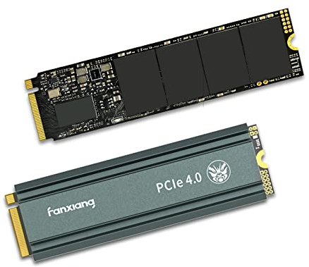 fanxiang M.2 SSD - 1TB SSD Up to 5000MB/s, 1TB NVMe PCIe Gen4x4 2280 with Heatsink, 3D NAND TLC Dynamic SLC Cache, M.2 Internal Solid State Drives for PS5 Laptop Desktop PC