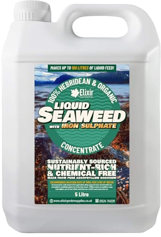 Elixir Gardens Liquid Seaweed Fertiliser with Added Iron 5L Bottle | Organic Hebridean Liquid Seaweed Fertiliser with Added Iron for Lawns and Gardens 5L Bottle
