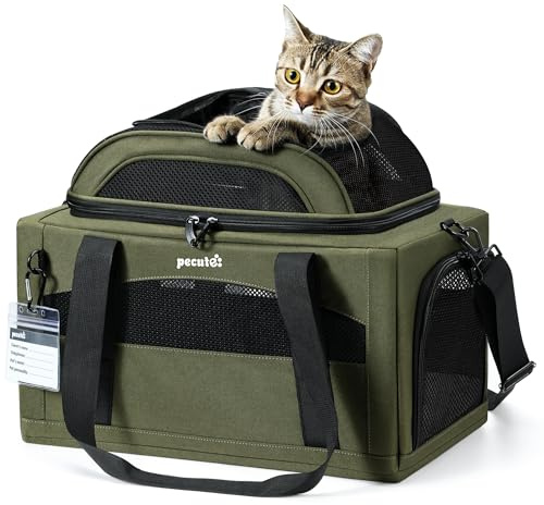 Pecute Trasportino per gatti espandibile, approvato dalle compagnie aeree, con estensione superiore, comodo, in rete sui 4 lati, approvato TSA e IATA, impermeabile, Verde