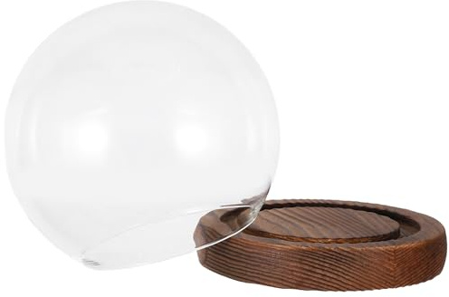 Zerodeko Dôme en Verre Élégant avec Base en Bois pour Mise en Valeur de Fleurs Séchées et Micro-Paysage, pour Décoration D'anniversaires et Artisanat