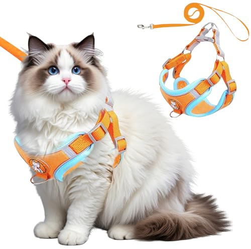 Waldspring Katzengeschirr mit Leine Ausbruchsicher, Katzenleine mit Geschirr für Katzen 150 cm, Katzengeschirr Verstellbar Weich mit Reflektierenden Streifen, Für Katzen und Kleine Hunde