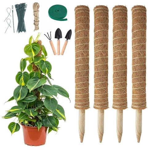 4 Pièces Tuteur Monstera Tuteur Plante Monsteras 40cm Tuteu Coco pour Plantes en Pot Monstera Jardin de Support de Plantes