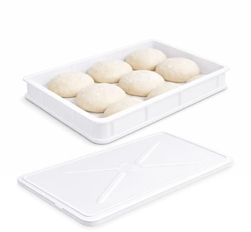 VIRSUS Cassetta con Coperchio per impasti Pizza e Pane HD1, misura 60x40x10 cm e capacità 20 Litri, colore neutro, Contenitore per alimenti, porta impasto per panetti (1 Cassetta + 1 Coperchio)