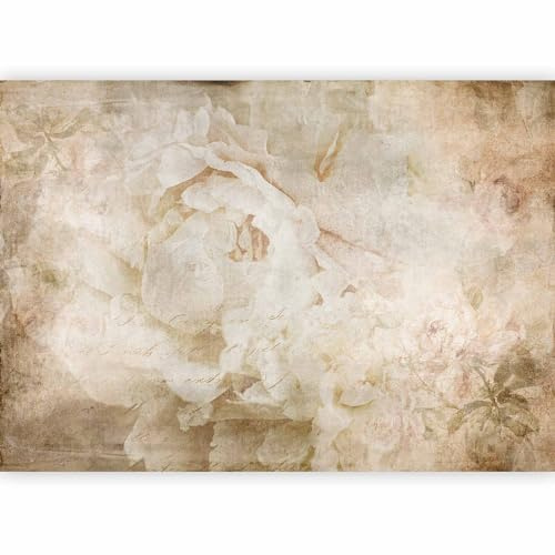artgeist Premium Wall Mural Flowers 157x110 in - XXL Non-Woven Wallpaper Fleece Wall Decor Photo Print Picture Image Design Nature Botanics Plants Roses Beige b-C-0946-a-a