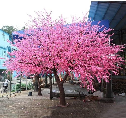 Alberi Artificiali In Fiore Di Ciliegio - Grande Albero In Fiore Giapponese - Rosa - Steli In Vero Legno E Foglie Realistiche Pianta Ornamentale Artificiale Modellante Albero Sakura Finto -Decorazione